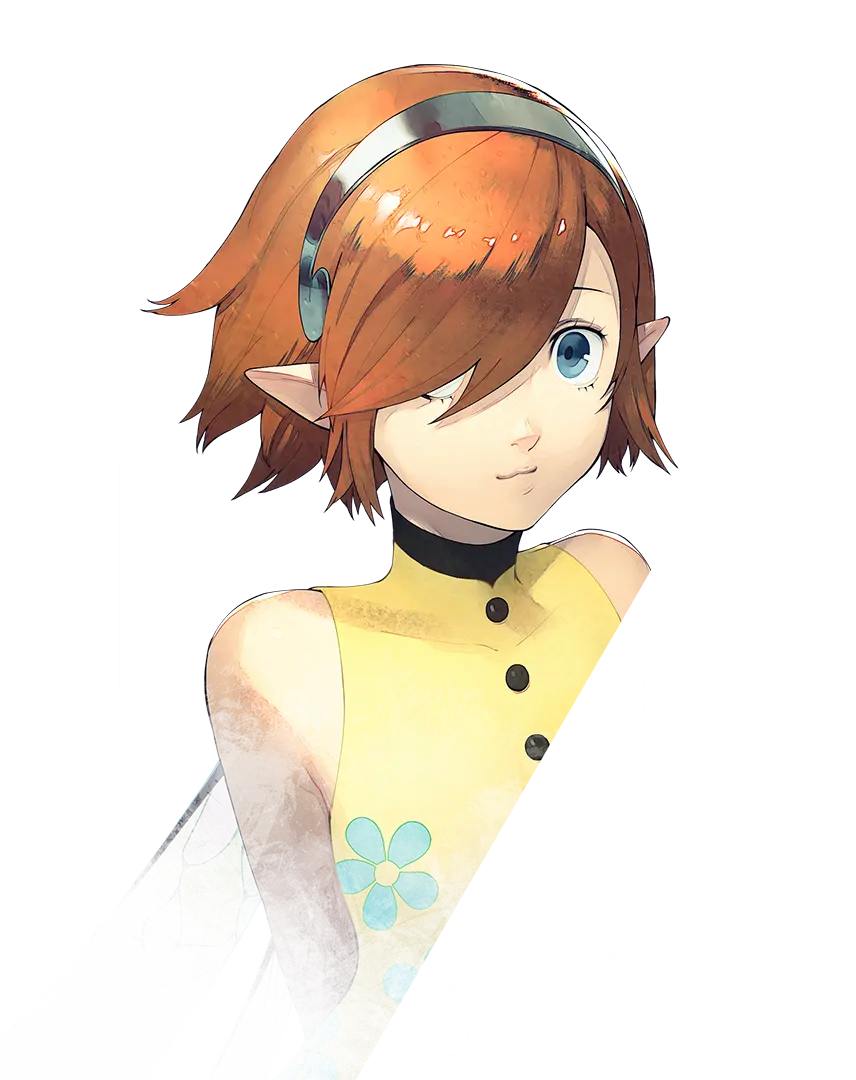 暗喻幻想全支持者效果一览