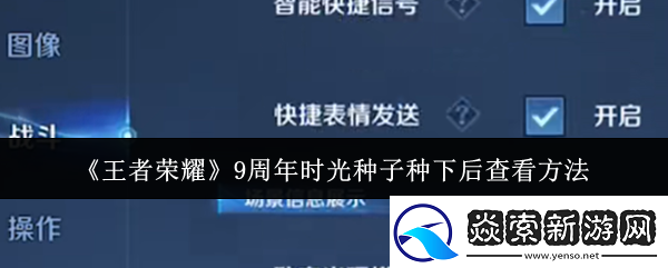 王者荣耀9周年时光种子种下后怎么查看