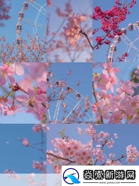 樱花16Q906A樱花16Q906A