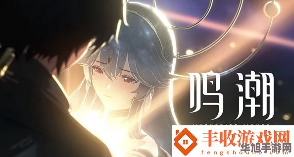 详尽解析鸣潮天降奇缘