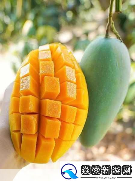 日产精品一线二线三线芒果