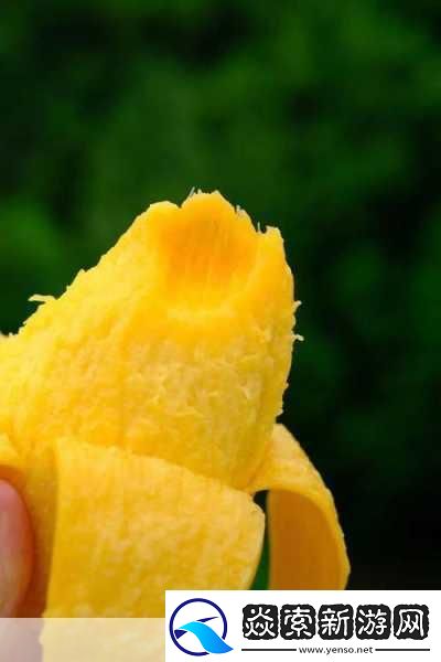 日产精品一线二线三线芒果