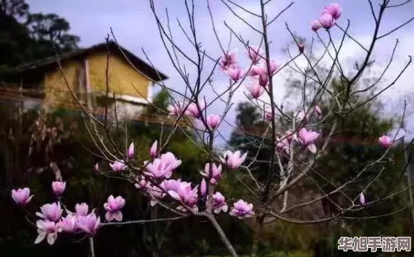 探索心动小镇潮流季