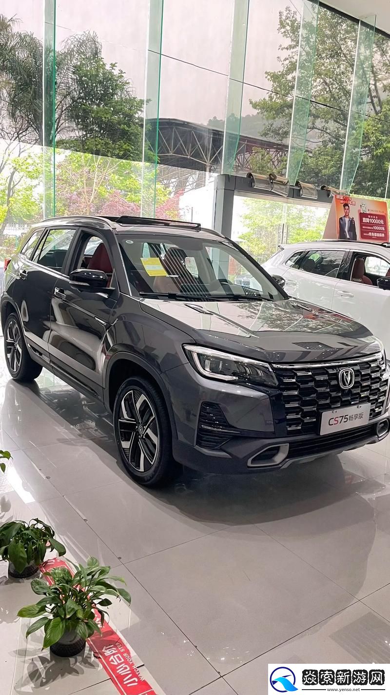 国产SUV界的奇葩说