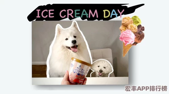 萌宠夏日新风尚