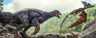 方舟袋鼠的用途何在