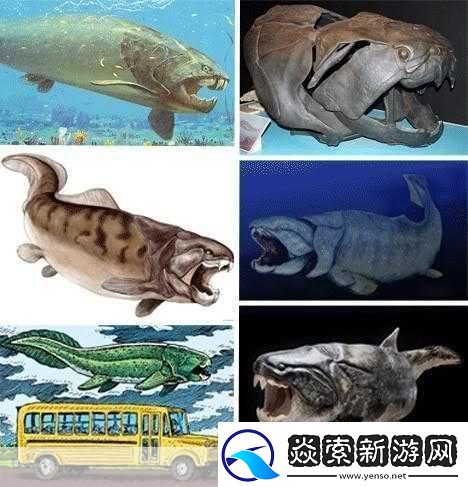 得到超级肉禽系统的紫岭红山有什么特别之处