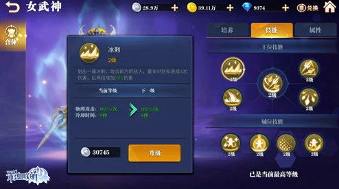 探索命运圣契之秘