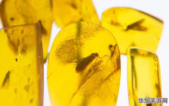 探索黑神话悟空