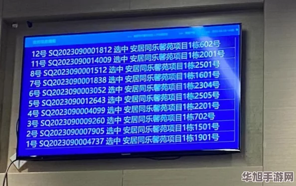 2024双人同乐新风尚