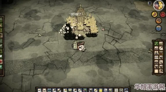 饥荒联机版深度社交指南