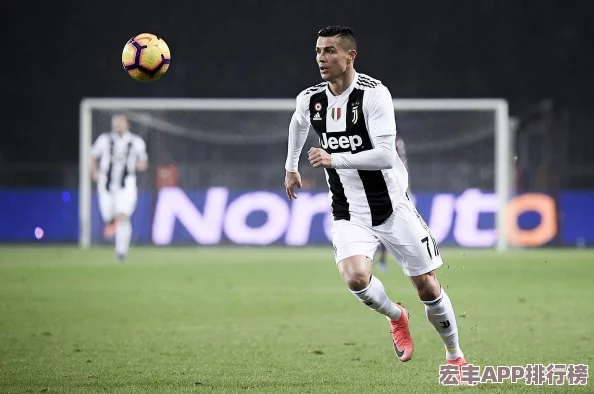 罗德里2.0.9版本革新