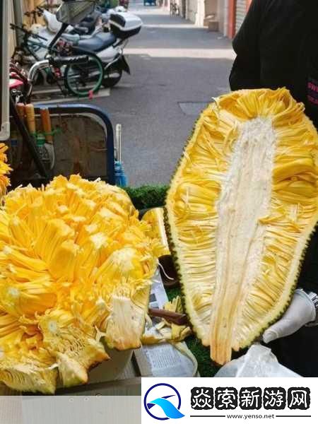 菠萝蜜视频入库