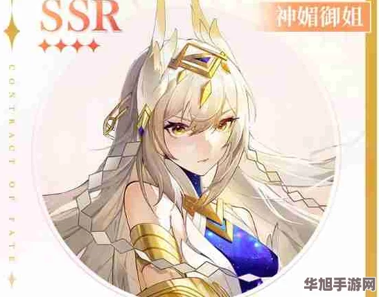 探索命运圣契之秘