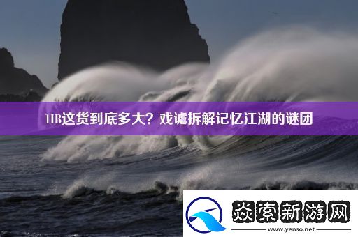 1IB这货到底多大