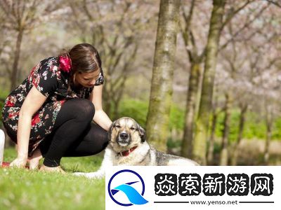 探秘ZOOMSERVO兽狗牧场迎来美女新人