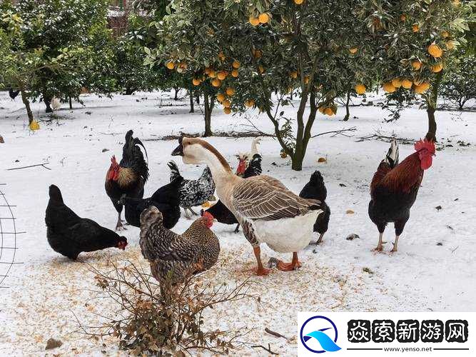 两个人融为一体的过程图片