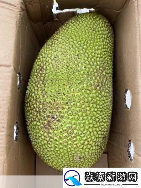 菠萝蜜一线二线三线品牌