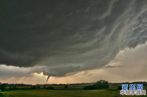 风暴驭使独家揭秘