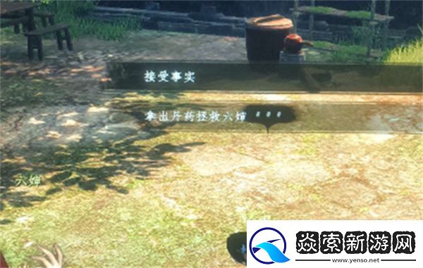 下一站江湖2六婶如何救治