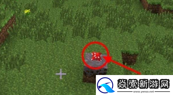 我的世界怎么种蘑菇