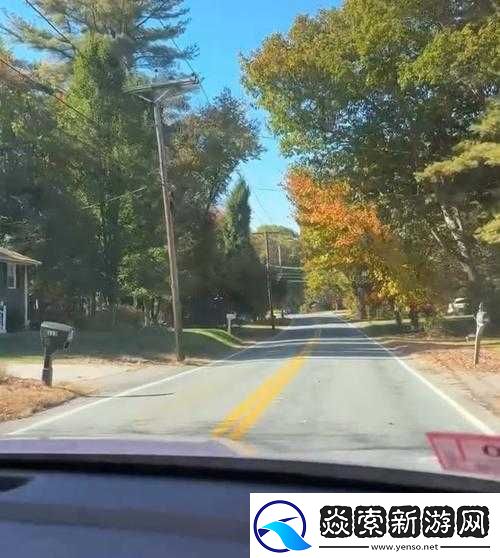 手不安分地探入森林什么意思