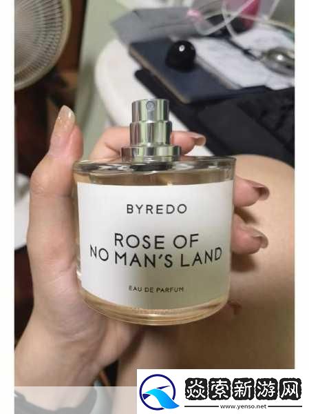 无人区的玫瑰总比野草好什么意思