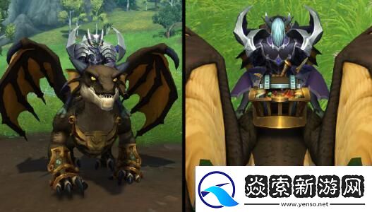 魔兽世界海盗日奖励解析