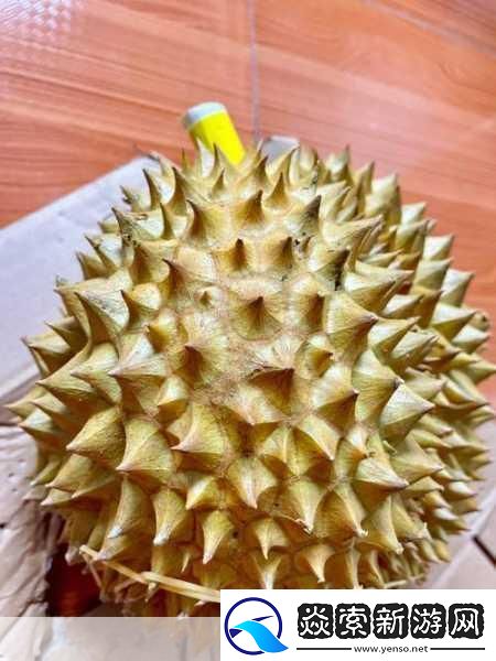 每天都在汆肉中醒来奶油尖尖