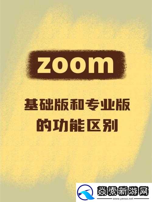 Zoom