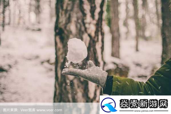 那两团雪球在他的手里