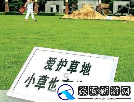 小草回家永不迷路2024