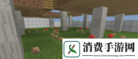 我的世界怎么种蘑菇