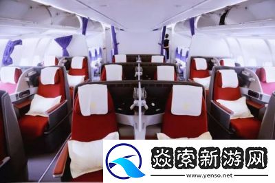 头等舱客服的特殊待遇2