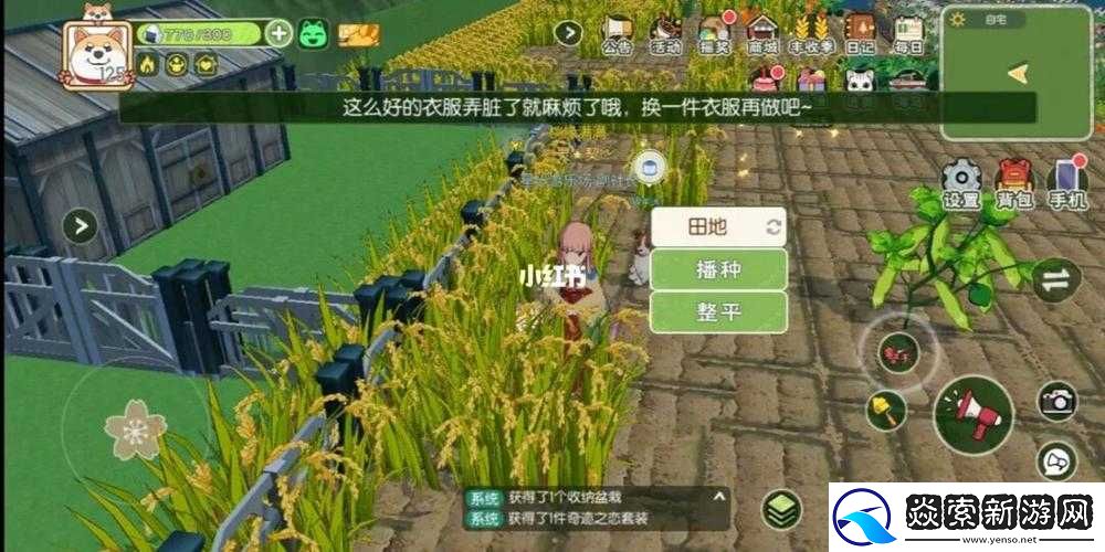 小森生活快节奏