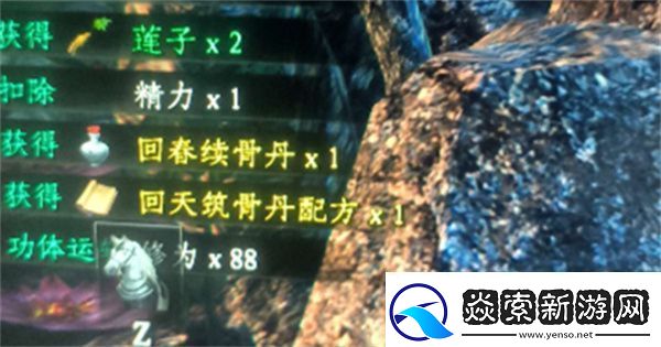 下一站江湖2六婶如何救治