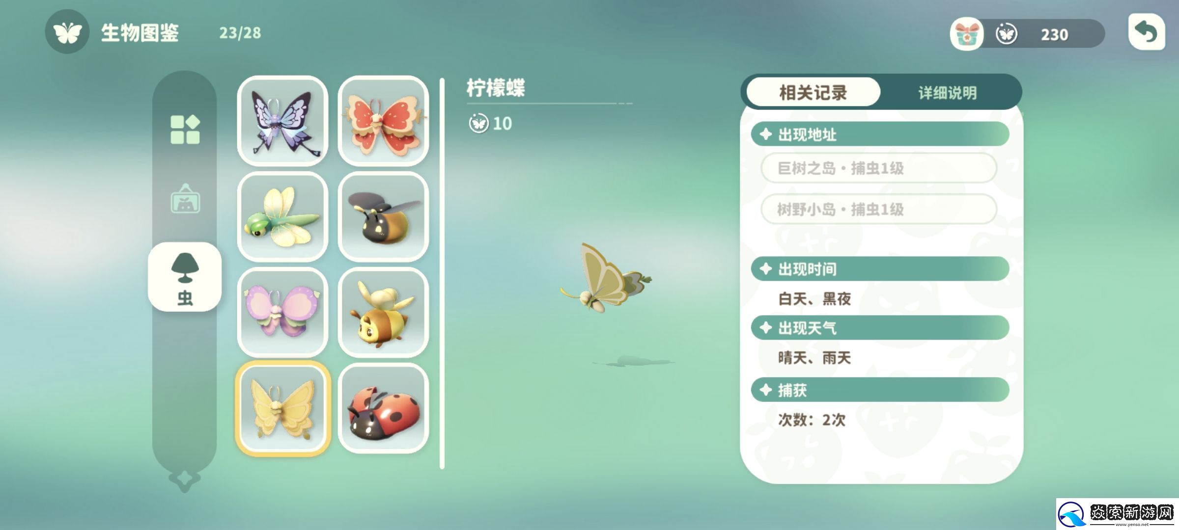 米姆米姆哈柠檬蝶在哪捕捉