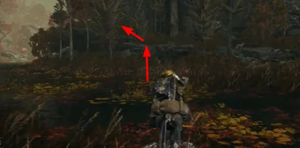 比较艾尔登法环中火焰与黑焰的威力