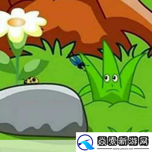 小草回家永不迷路2024