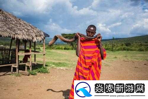 非洲人与性动交