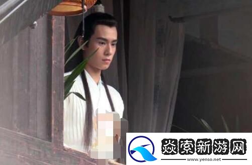 武林贵公子的炫目风采