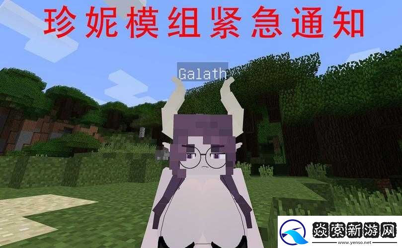 我的世界珍妮模组切换视角的方法与技巧