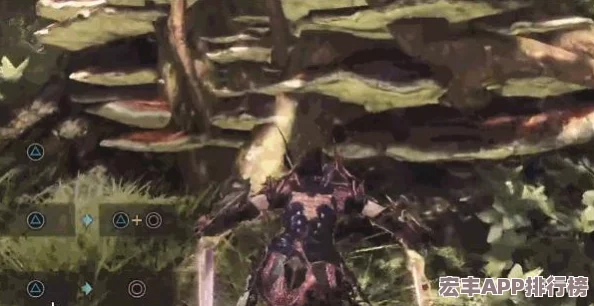 怪物猎人系列中