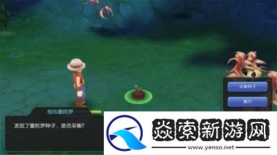 仙境传说RO手游曼陀罗位置详解