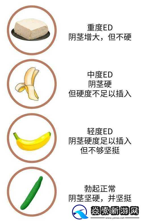 晚上睡觉**一直硬的原因分析