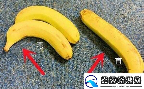 香蕉直的甜还是弯的甜