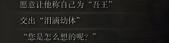 艾尔登法环探险指南