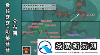 深入解析创造与魔法战宠排名