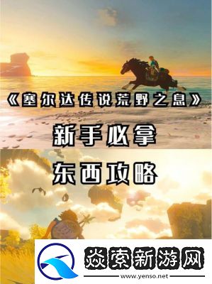 塞尔达传说荒野之息