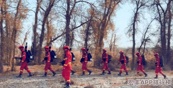 2021年度最新手游热门榜单